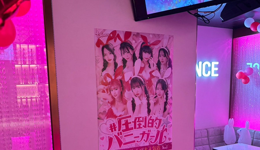 【初心者さん大歓迎！】バニーが教える♪ワインの選び方、これでカンペキ！