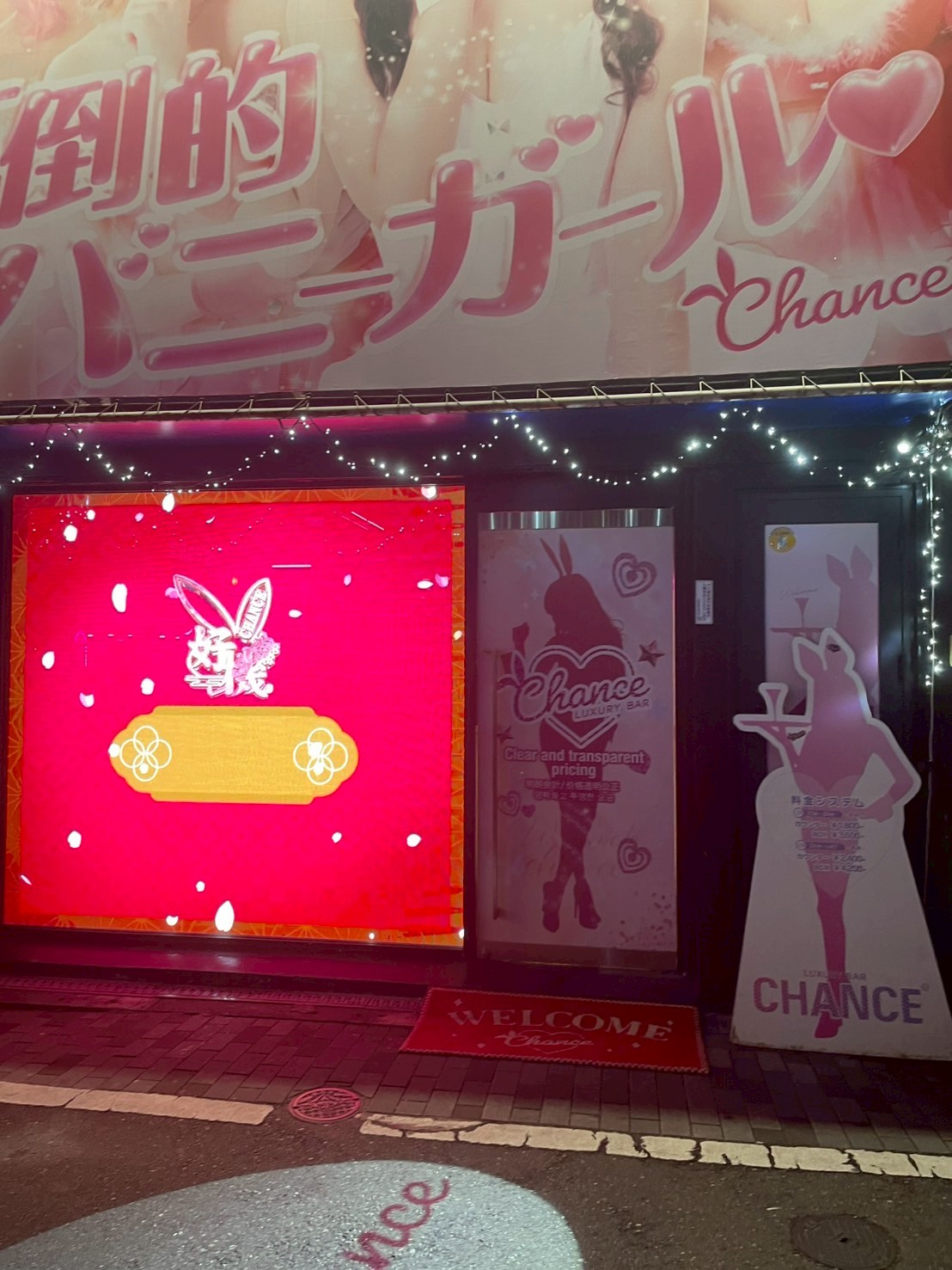 〖難波ミナミ〗人見知りさんでも楽しめるバニーコンセプトガールズバーの過ごし方