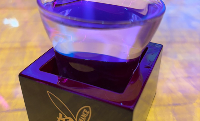 難波の夜は焼酎で乾杯！バニーが教える、ちょっとツウな楽しみ方♪